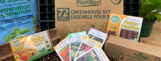 Teaching Kids To Grow Their Own Food!