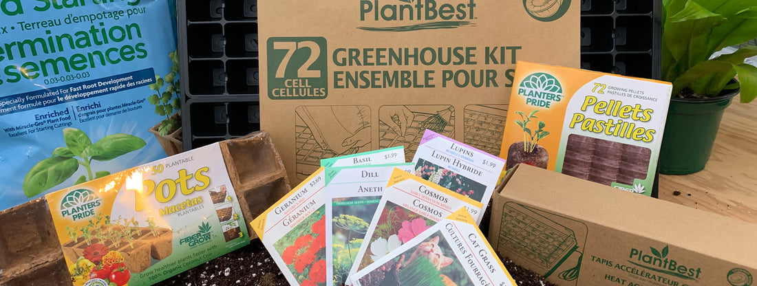 Teaching Kids To Grow Their Own Food!