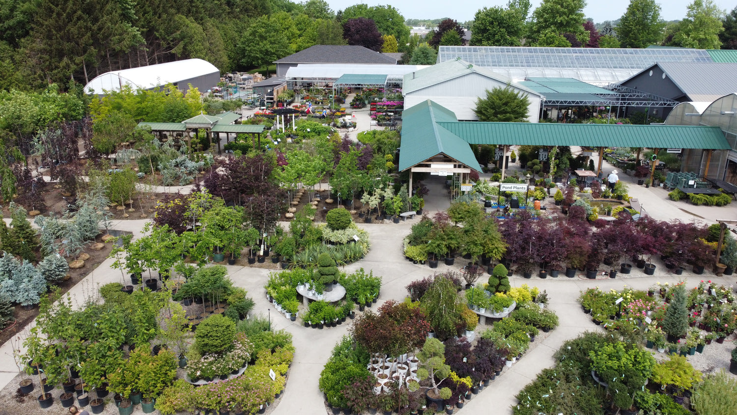 Nursery The Glasshouse Nursery
