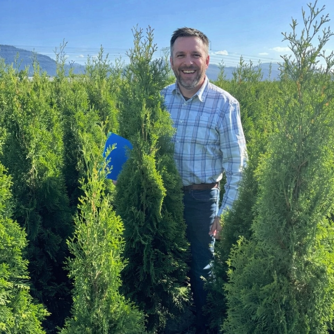 Emerald Cedar - Bulk Value Pre-Order 10+